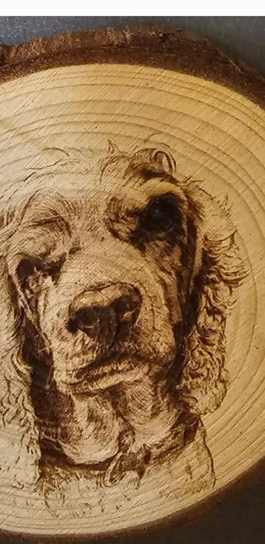 Coaster